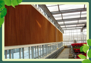 tl_files/Upload-here/SAN PHAM/he-thong-lam-mat/ung-dung-cua-lam-mat-ap-suat-am.jpg